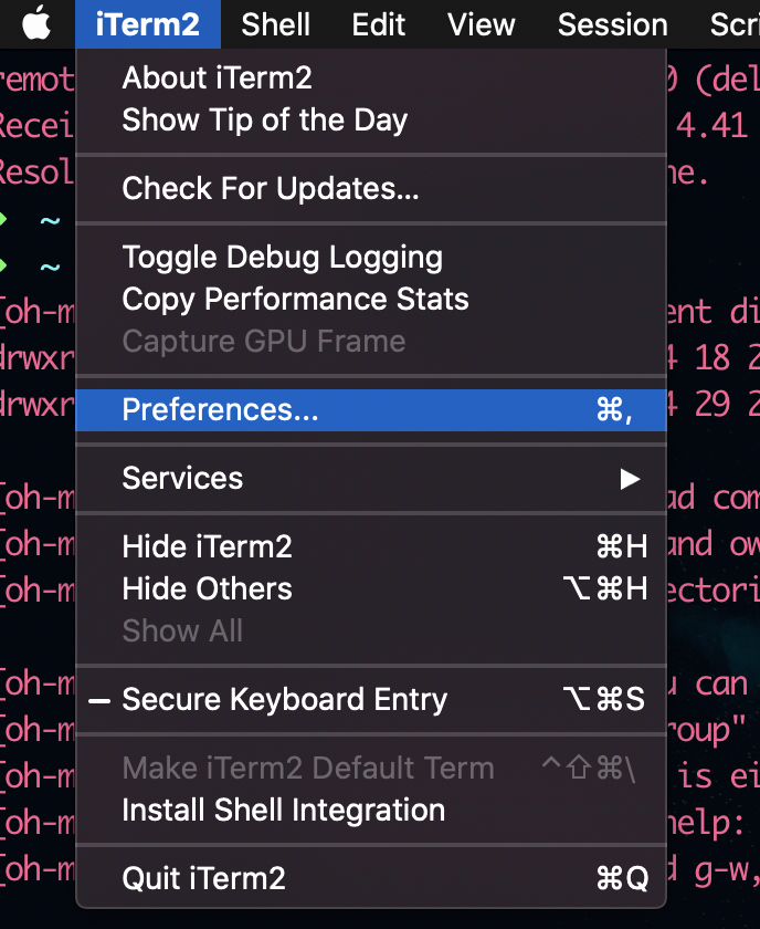 Iterm2 Zsh